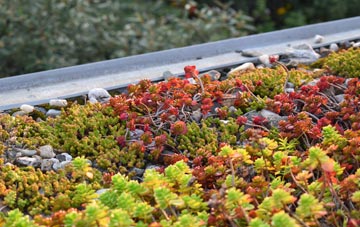 the cost of Roach Bridge green roof installation