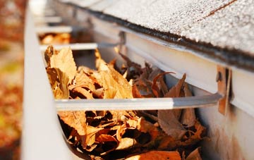 Roach Bridge gutter cleaning companies