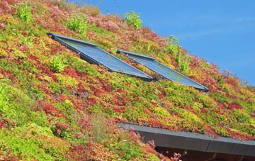 Roach Bridge living roof systems
