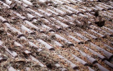 Roach Bridge roof cleaning companies